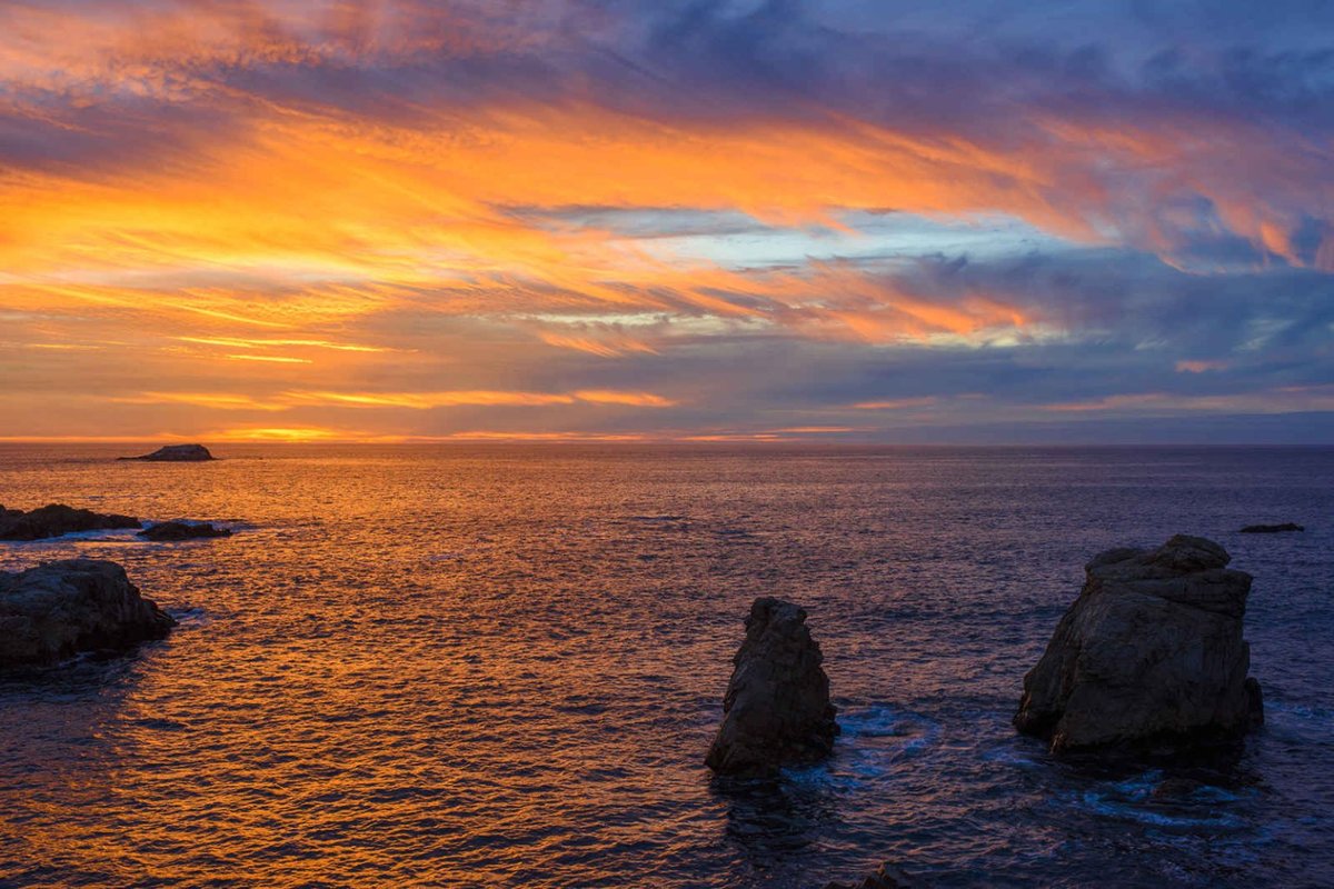 Affordable Local Restaurants Monterey CA for Delicious Budget Bites